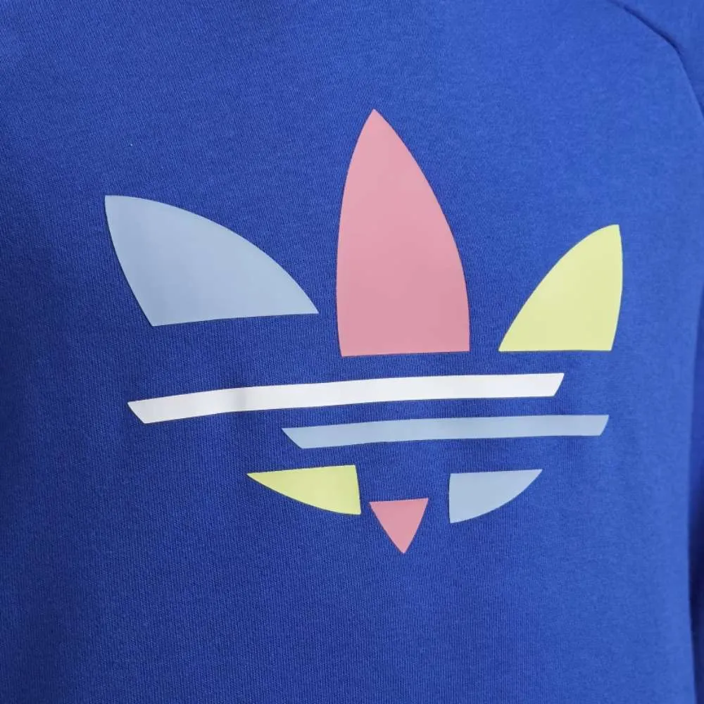 adidas Originals Kids’ Adicolor Hoodie