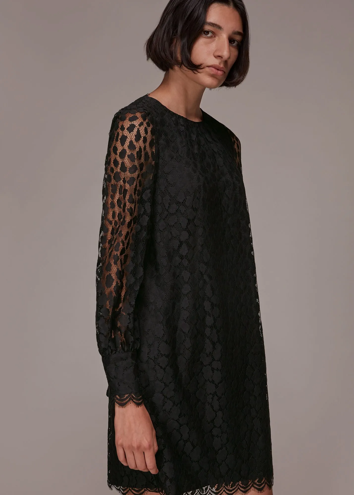 Black Animal Lace Tie Detail Dress