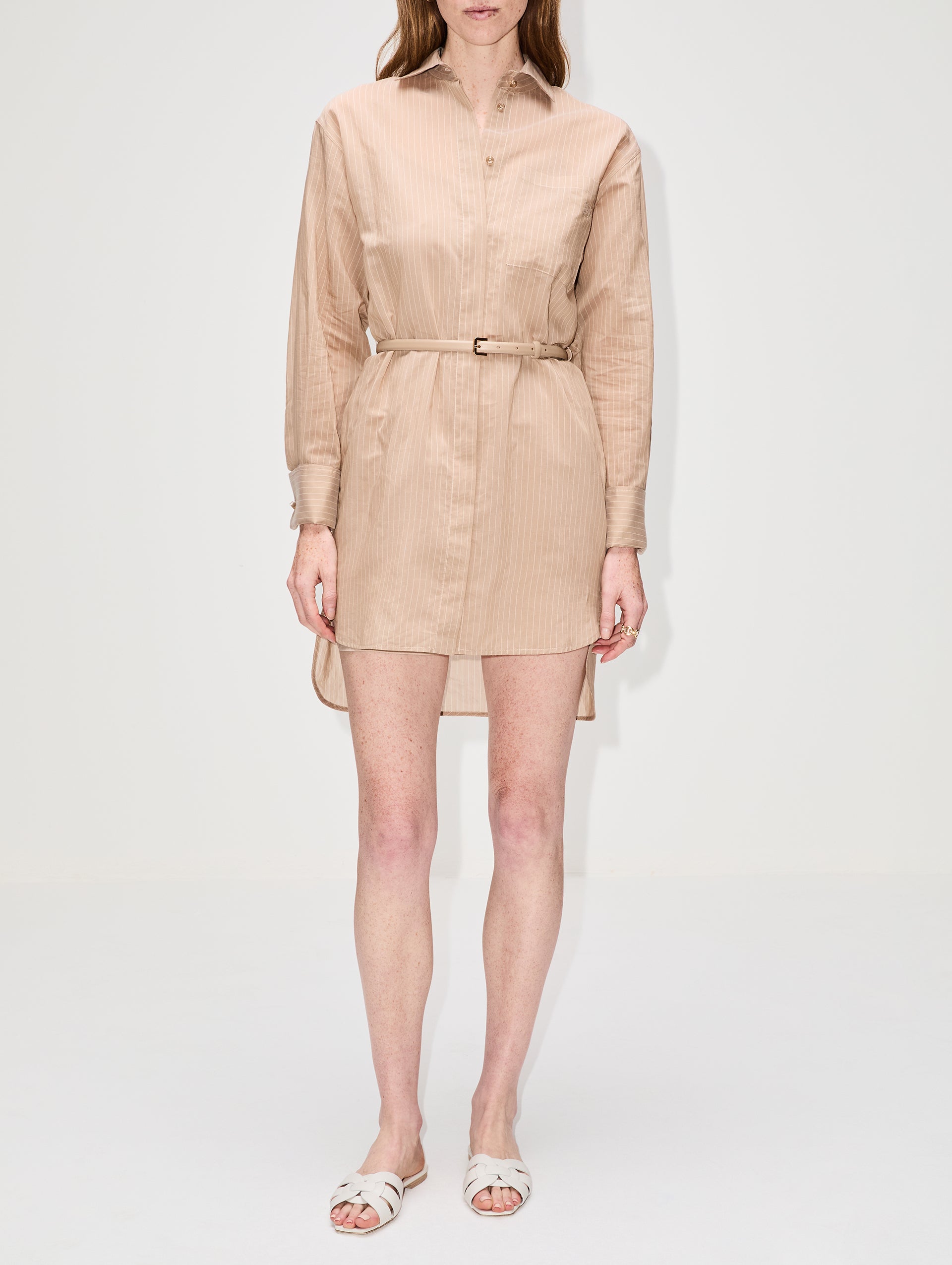 Brioso Button Up Dress