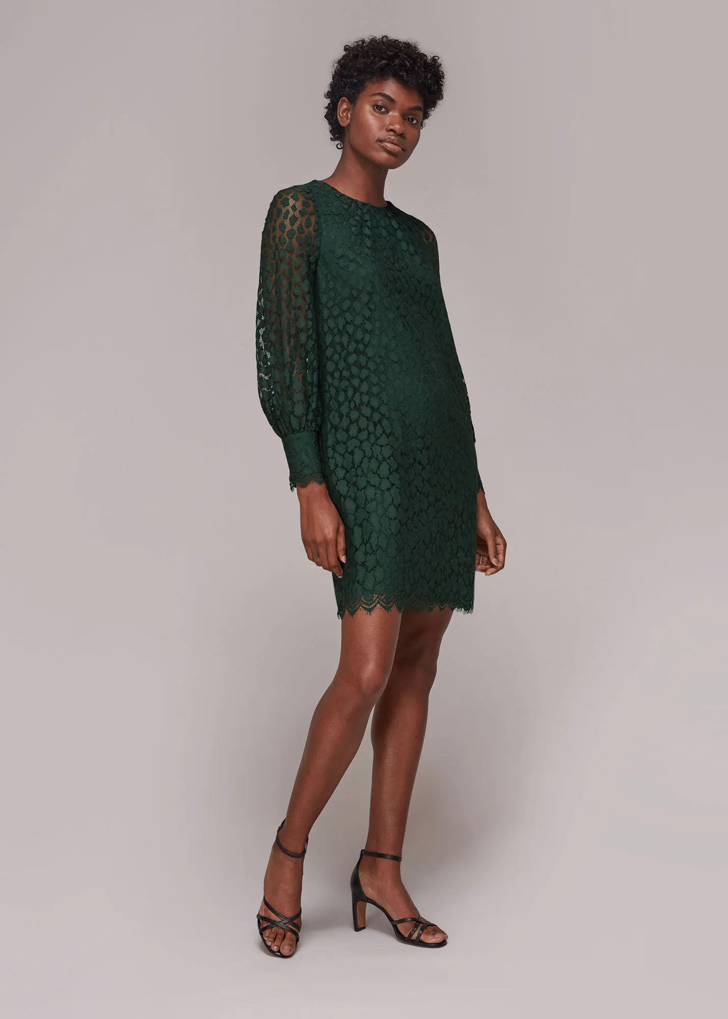 Dark Green Animal Lace Tie Detail Dress