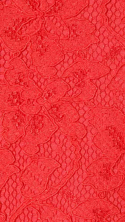 Zarita Lace Dress Red